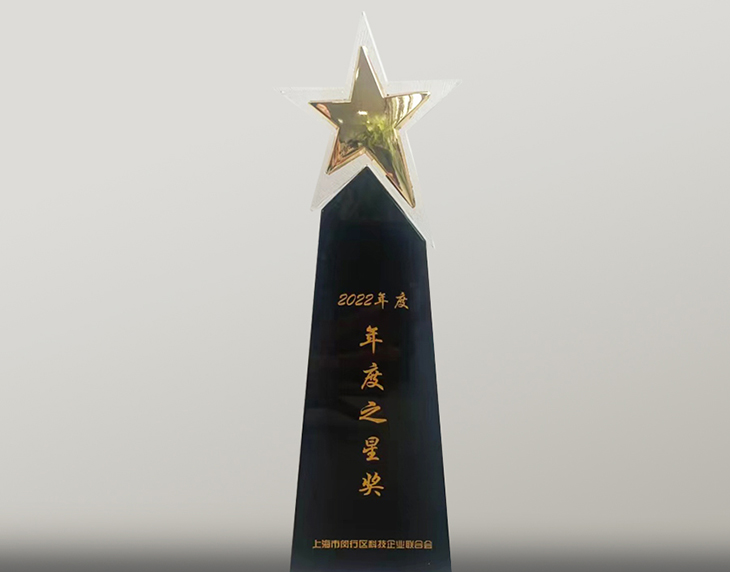 年度之星獎(jiǎng)牌